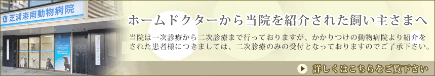 港区港南・品川エリアの動物病院　芝浦港南動物病院の画像　