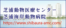 芝浦動物医療センター　芝浦海岸動物病院