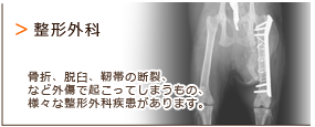 港区港南・品川エリアの動物病院　芝浦港南動物病院の画像　整形外科