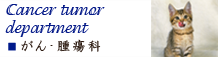 港区港南・品川エリアの動物病院　芝浦港南動物病院の画像　がん腫瘍科