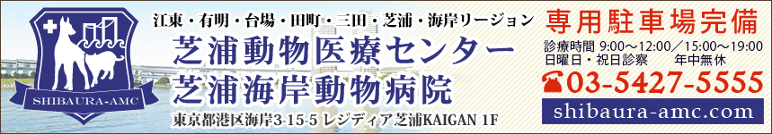 港区で動物病院のご利用なら 芝浦港南動物病院 東京都港区港南 品川エリアの総合動物病院